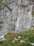 IMG_3358