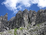IMG_7462