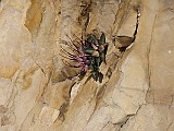 IMG_3052