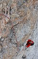_MG_1554