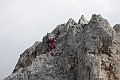 _MG_1595