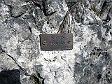 IMG_1783