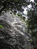 IMG_0011