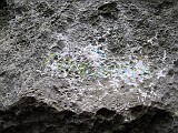 IMG_0012