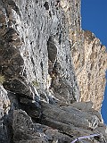 IMG_1768