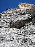 IMG_1769