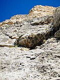 IMG_1769_1