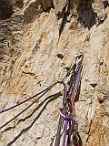 IMG_1782