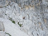 IMG_1826