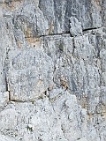 IMG_1827