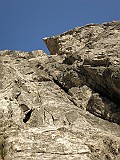 IMG_0988