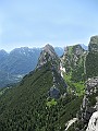 IMG_2311
