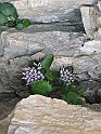 IMG_0117