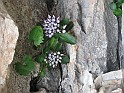 IMG_0118