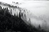 IMG_0425