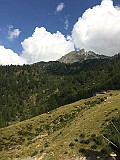 IMG_1205