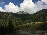 IMG_1207