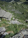IMG_7571