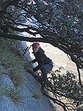 IMG_9817