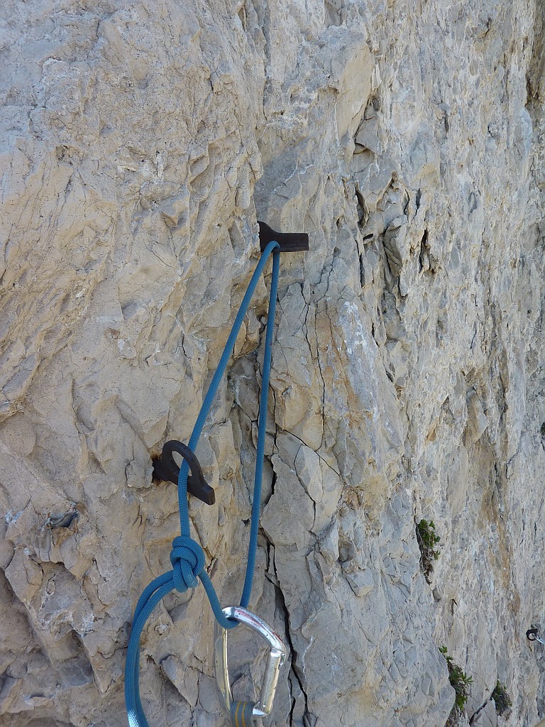 P1060029.JPG