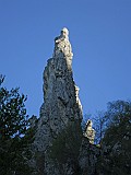 IMG_0263