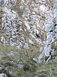 IMG_0268