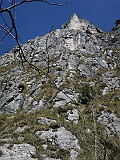 IMG_0273