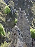 IMG_0275