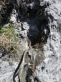 IMG_0300