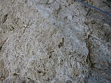 IMG_0319
