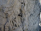 IMG_0324