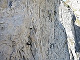 IMG_0326