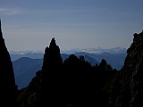 IMG_0337