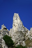 IMG_0347