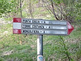 IMG_0353