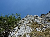 P1050921