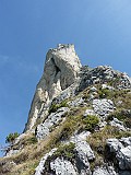 P1050947