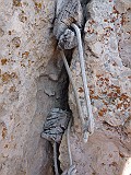 P1050979
