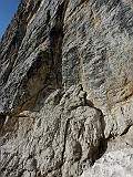 P1060932