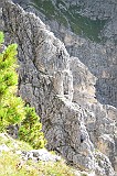 IMG_0208