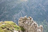 IMG_0258