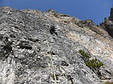 P1010281