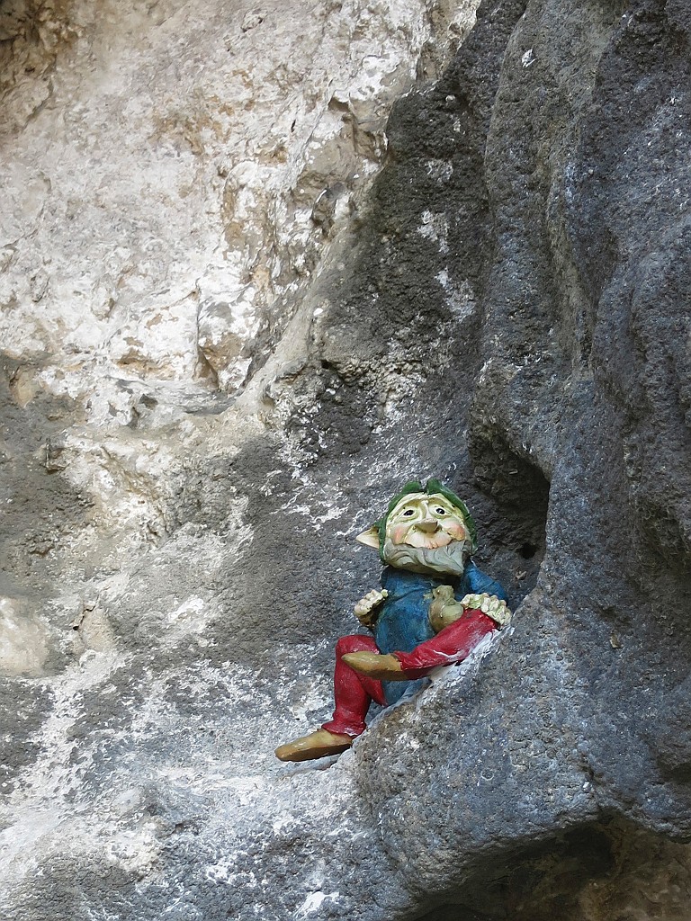 IMG_9850.JPG - L'elfo ci osserva !
