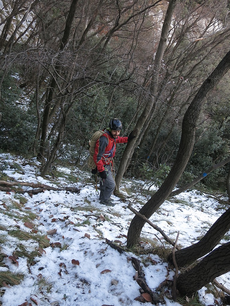 IMG_9872.JPG