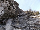 DSCN0434