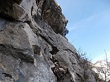 DSCN0449