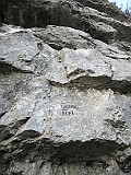 IMG_9847