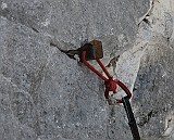 IMG_9868