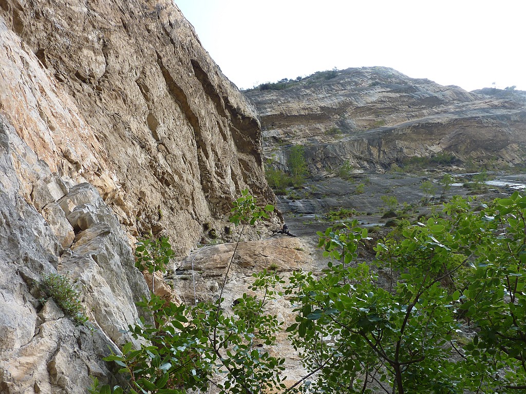 P1140986.JPG