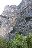 IMG_0336